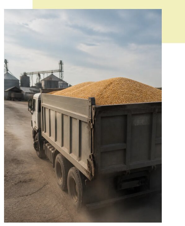 Перевозка сельхозпродукции навалом в Ишим по цене от 3118 р. | Агросервис-Шм