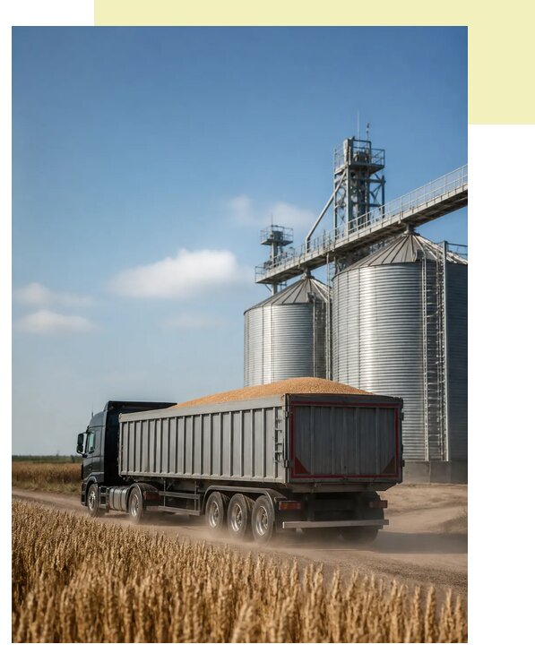 Перевозка ржи автотранспортом в Ишим по цене от 5560 р. | Агросервис-Шм